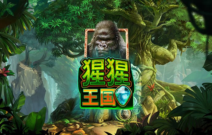 开yun体育官网下载
